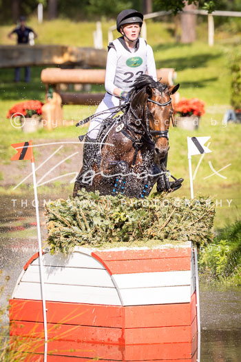 08 - Luhmühlen Gelände CCI2*-L