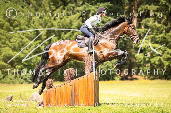 09 - Luhmühlen Gelände CCi3*-L 09 - Luhmühlen Gelände CCi3*-L
