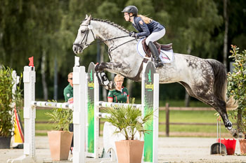 CCI1 Springen