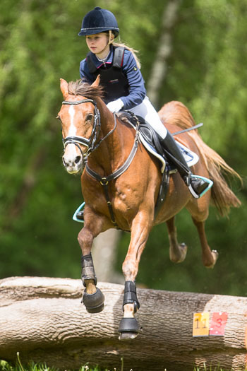 Pfingstturnier Wesenberg