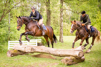 Pfingstturnier Wesenberg