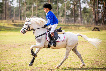 Geländereiter-Prüfung CDV-Cup