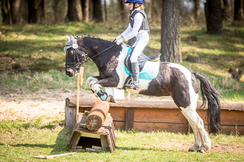 Geländereiter-Prüfung CDV-Cup Geländereiter-Prüfung CDV-Cup
