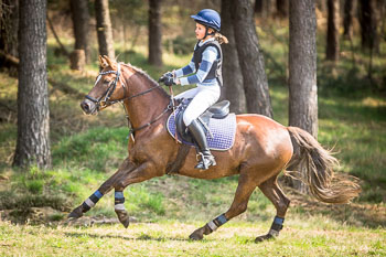 Geländereiter-Prüfung CDV-Cup