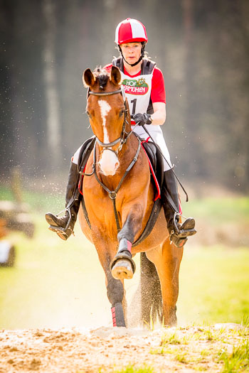 Geländepferdeprüfungen Kl. E und A