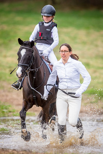 Führzügel Cross Country