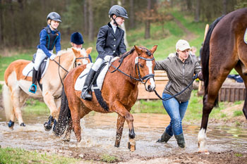 Führzügel Cross Country