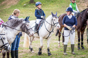 Führzügel Cross Country