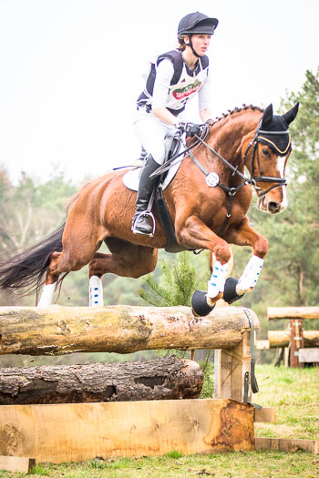 Geländepferdeprüfung Klasse A