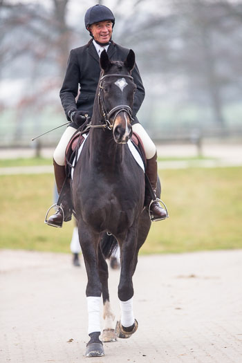 Neujahrsreiten Luhmühlen