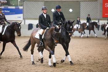 Neujahrsreiten Luhmühlen