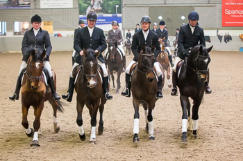 Neujahrsreiten Luhmühlen