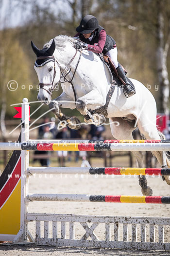 05 - Luhmühlen Springen S* mit Stechen