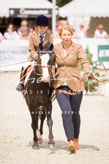 CCI4* / CIC3* Luhmühlen 2017