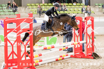 03 - Luhmühlen Stilspringen E