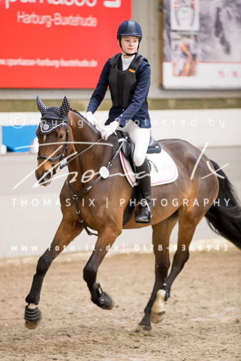 03 - Luhmühlen Stilspringen E