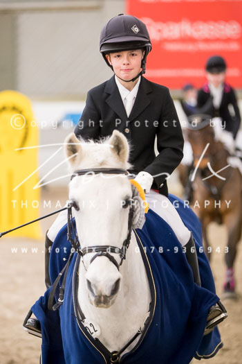 03 - Luhmühlen Stilspringen E