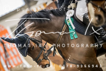 10 - Springprüfung L - 2. Abteilung