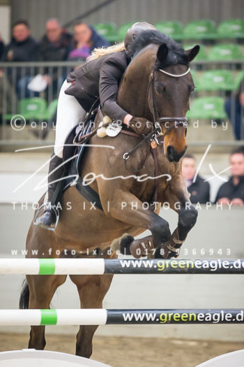 11 - Springprüfung M* - 1. Abteilung