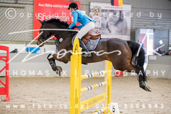 12 - Springen M* - 2. Abteilung