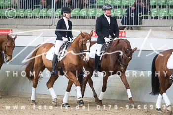 01 - Neujahrsquadrille Luhmühlen 01 - Neujahrsquadrille Luhmühlen