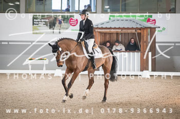 01 - Dressurpferdeprüfung Kl. A