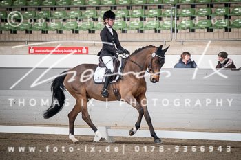 01 - Dressurpferdeprüfung Kl. A