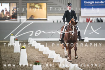 02 - Dressurpferdeprüfung Kl. L