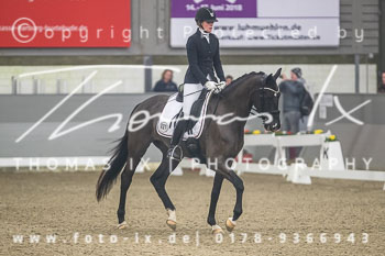 03 - Reitpferdeprüfung