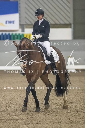 03 - Reitpferdeprüfung