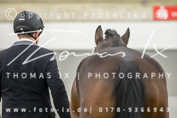 03 - Reitpferdeprüfung