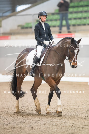 04 - Dressurprüfung Kl. A**