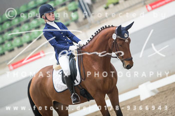 04 - Dressurprüfung Kl. A**