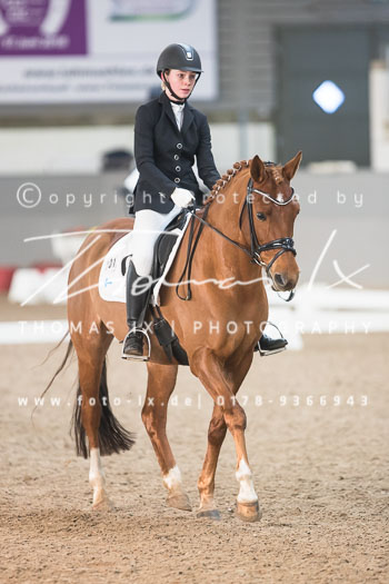 04 - Dressurprüfung Kl. A**