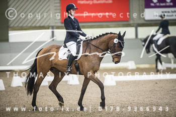 06 - Dressurprüfung Kl. A*