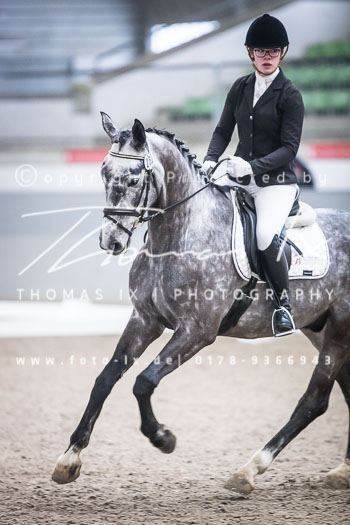 06 - Dressurprüfung Kl. A*