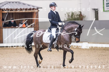 08 - Dressurprüfung Kl. M**