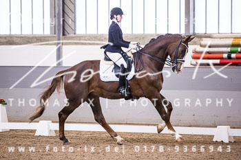 08 - Dressurprüfung Kl. M**