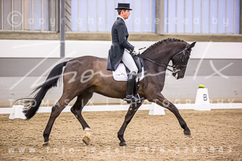 09 - Dressurprüfung Kl. S*