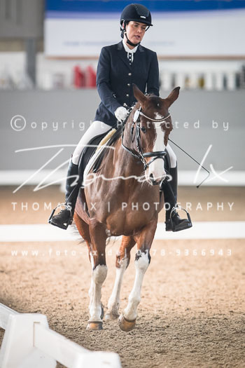 05 - Dressurprüfung Kl. E