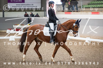 05 - Dressurprüfung Kl. E