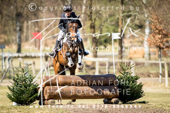 03 - Geländepferdeprüfung A