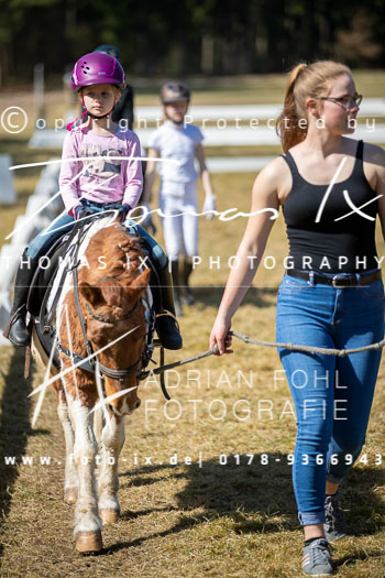 11 - Sahrendorf Führzügel Wettbewerb
