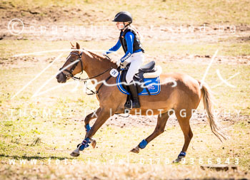 13 - Sahendorf Geländereiterwettbewerb