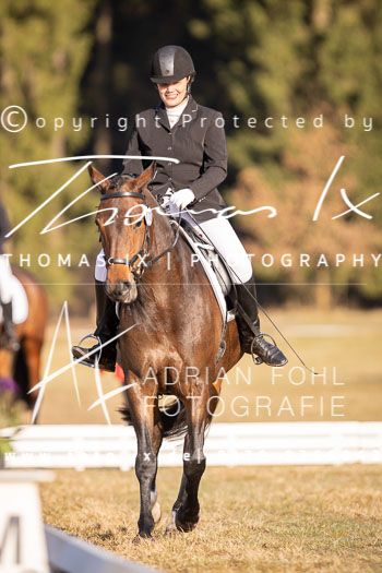 14 - Sahrendorf Dressurwettbewerb