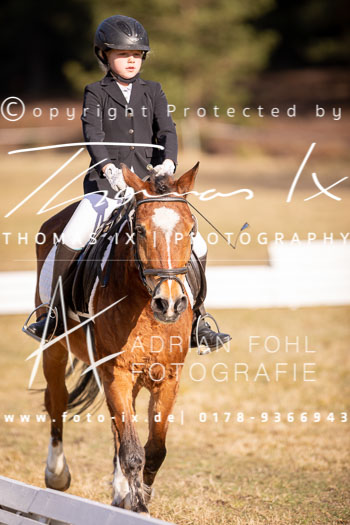 14 - Sahrendorf Dressurwettbewerb