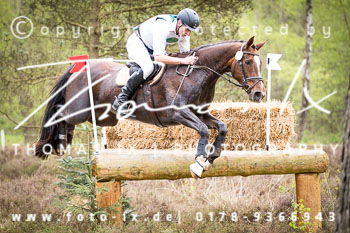 16 - Luhmühlen CIC* 16 - Luhmühlen CIC*