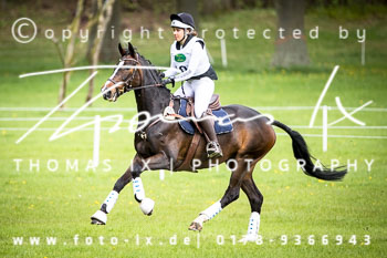16 - Luhmühlen CIC* 16 - Luhmühlen CIC*