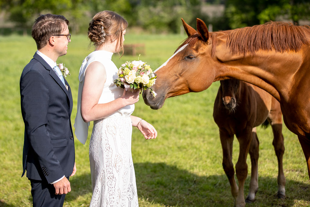 19 - Hochzeit Franziska & Titus